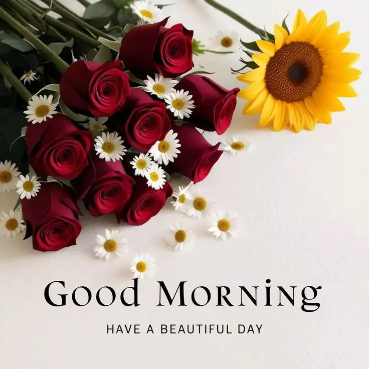 20+ Best Good Morning Images, Photos & Wishes to Brighten Your Day (2025) Good Morning Images New 2025