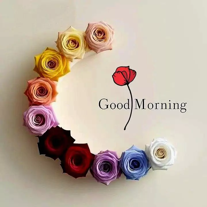 20+ Best Good Morning Images, Photos & Wishes to Brighten Your Day (2025) Good Morning Photos