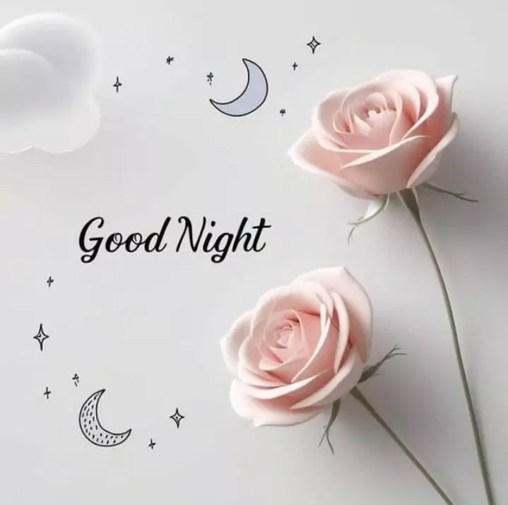 20+ Beautiful Good Night Images, Pics, Photos, Pictures & Wallpapers (2024) Good Night Cute Photo