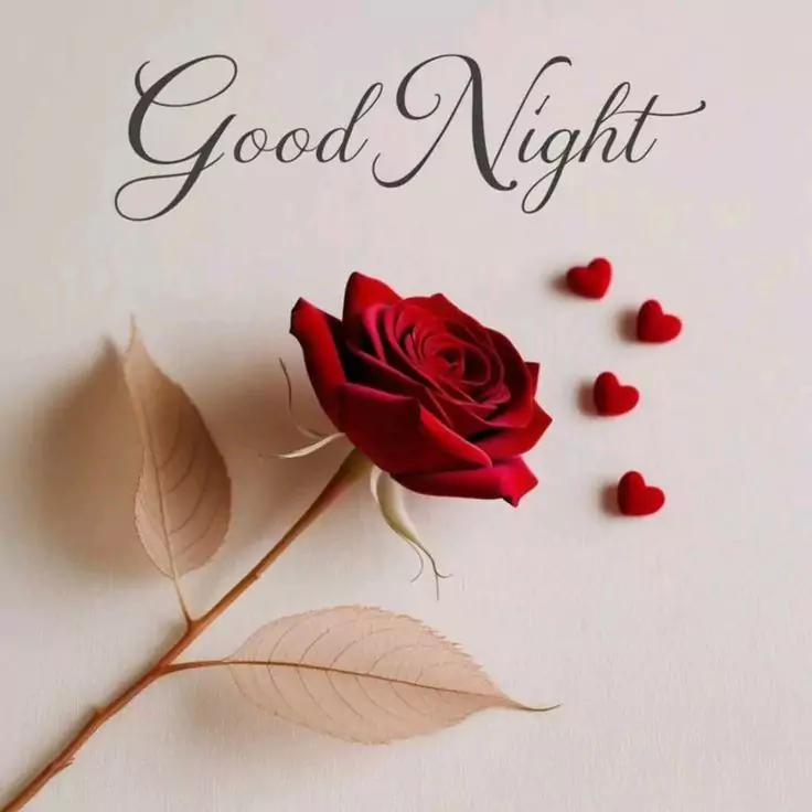 20+ Beautiful Good Night Images, Pics, Photos, Pictures & Wallpapers (2024) Good Night HD Photo