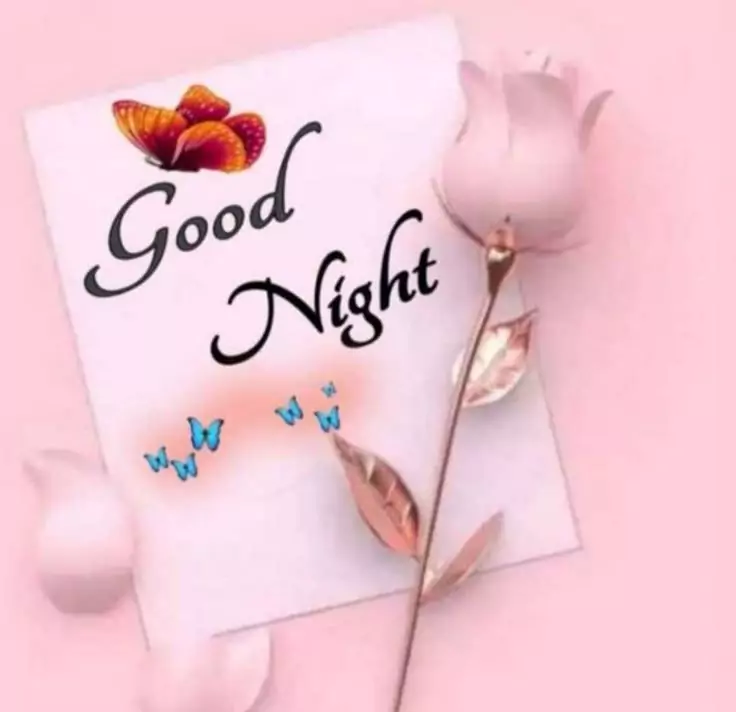 20+ Beautiful Good Night Images, Pics, Photos, Pictures & Wallpapers (2024) Good Night Images for Girlfriend