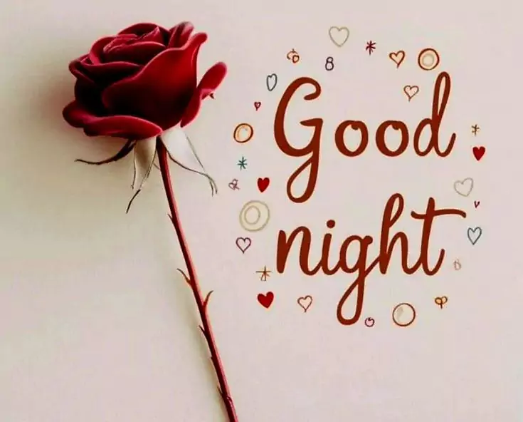 20+ Beautiful Good Night Images, Pics, Photos, Pictures & Wallpapers (2024) Good Night Love Photo