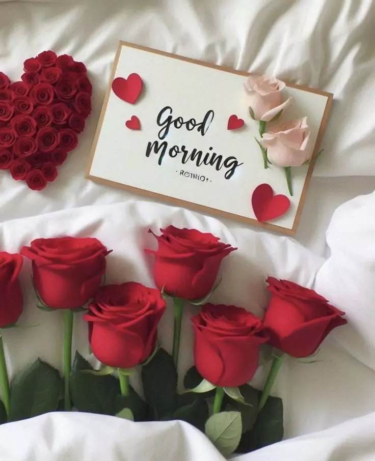 20+ Best Good Morning Images, Photos & Wishes to Brighten Your Day (2025) New Today New Good Morning Images