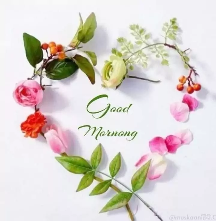 20+ Best Good Morning Images, Photos & Wishes to Brighten Your Day (2025) Today Special Good Morning Photos