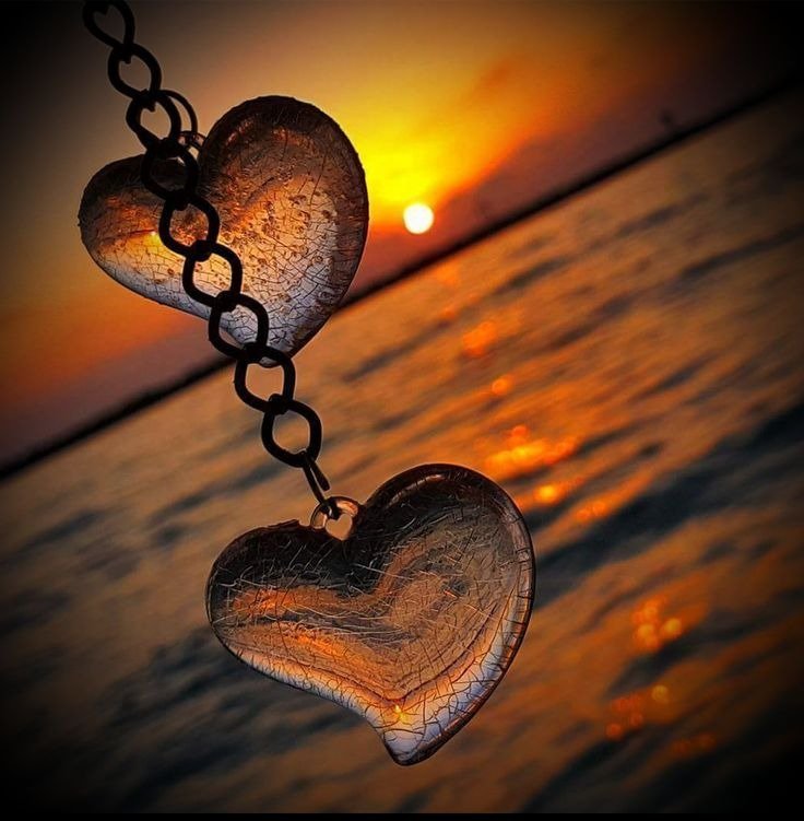 Love Instagram Dp Love Instagram Dp
