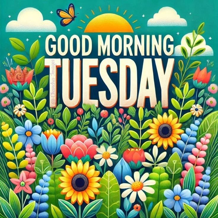 Happy Tuesday photo Happy Tuesday photo