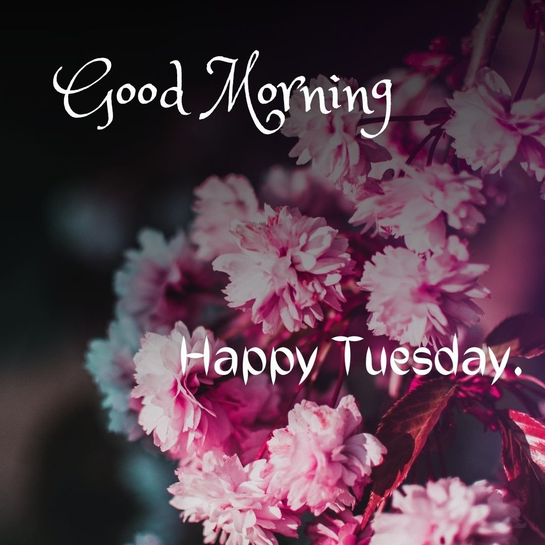 good morning tuesday god images for whatsapp good morning tuesday god images for whatsapp