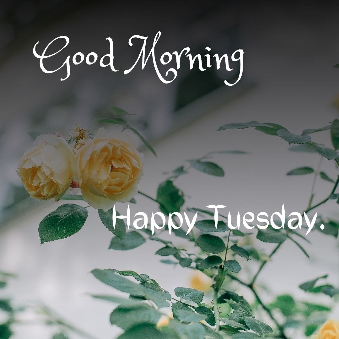 good morning tuesday images god good morning tuesday images god