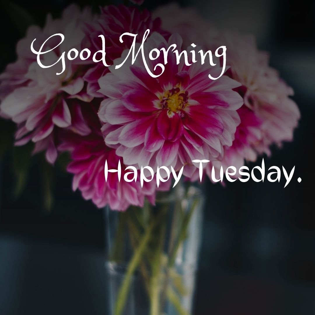 good morning tuesday images good morning tuesday images