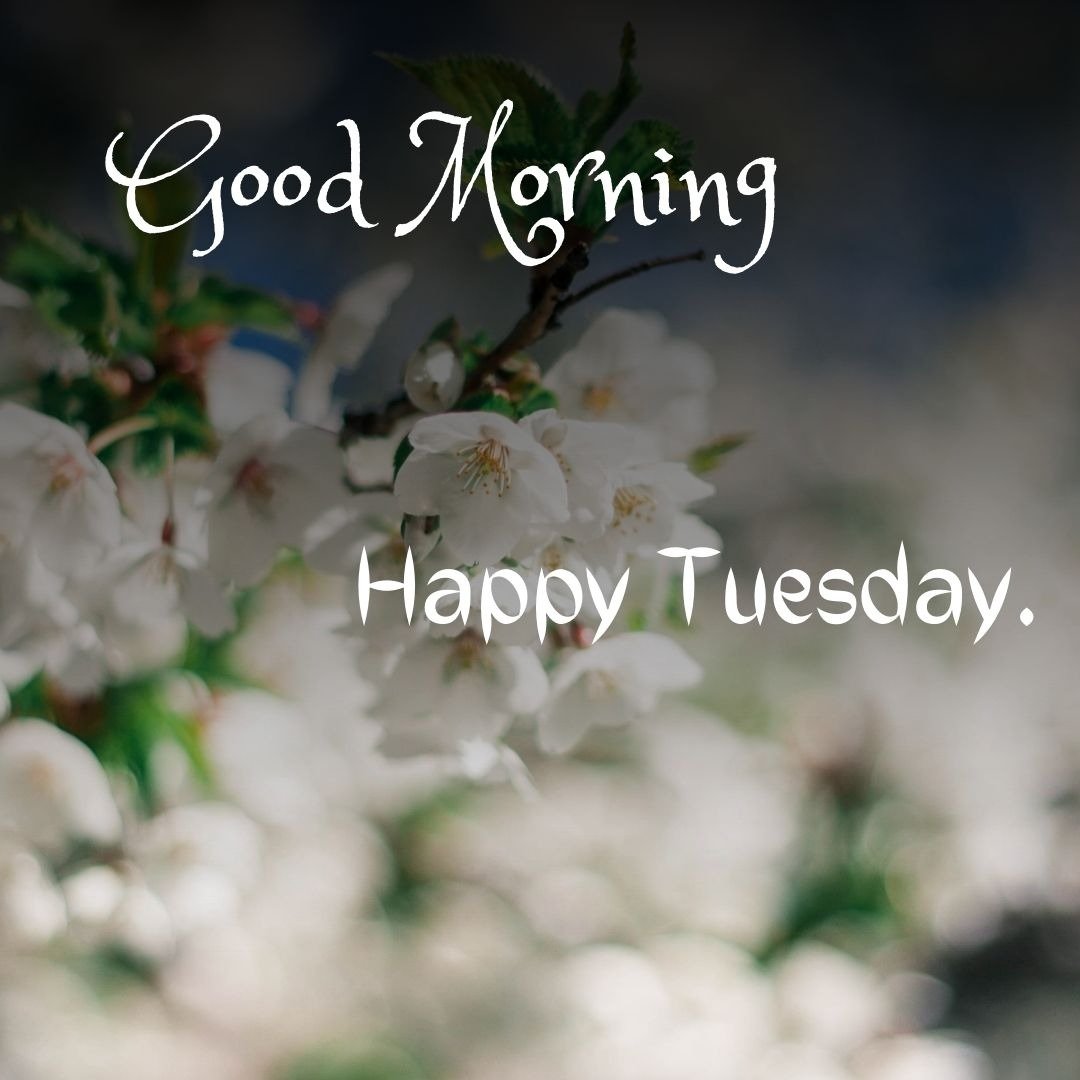 good morning tuesday inspirational blessings good morning tuesday inspirational blessings