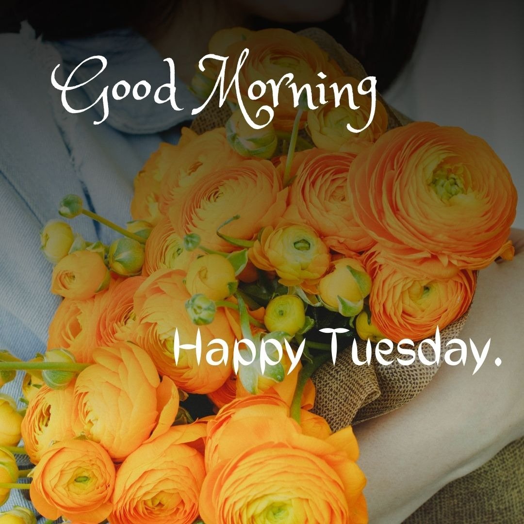 positive good morning tuesday blessings positive good morning tuesday blessings