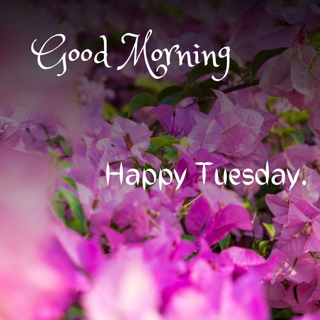 tuesday god good morning images tuesday god good morning images