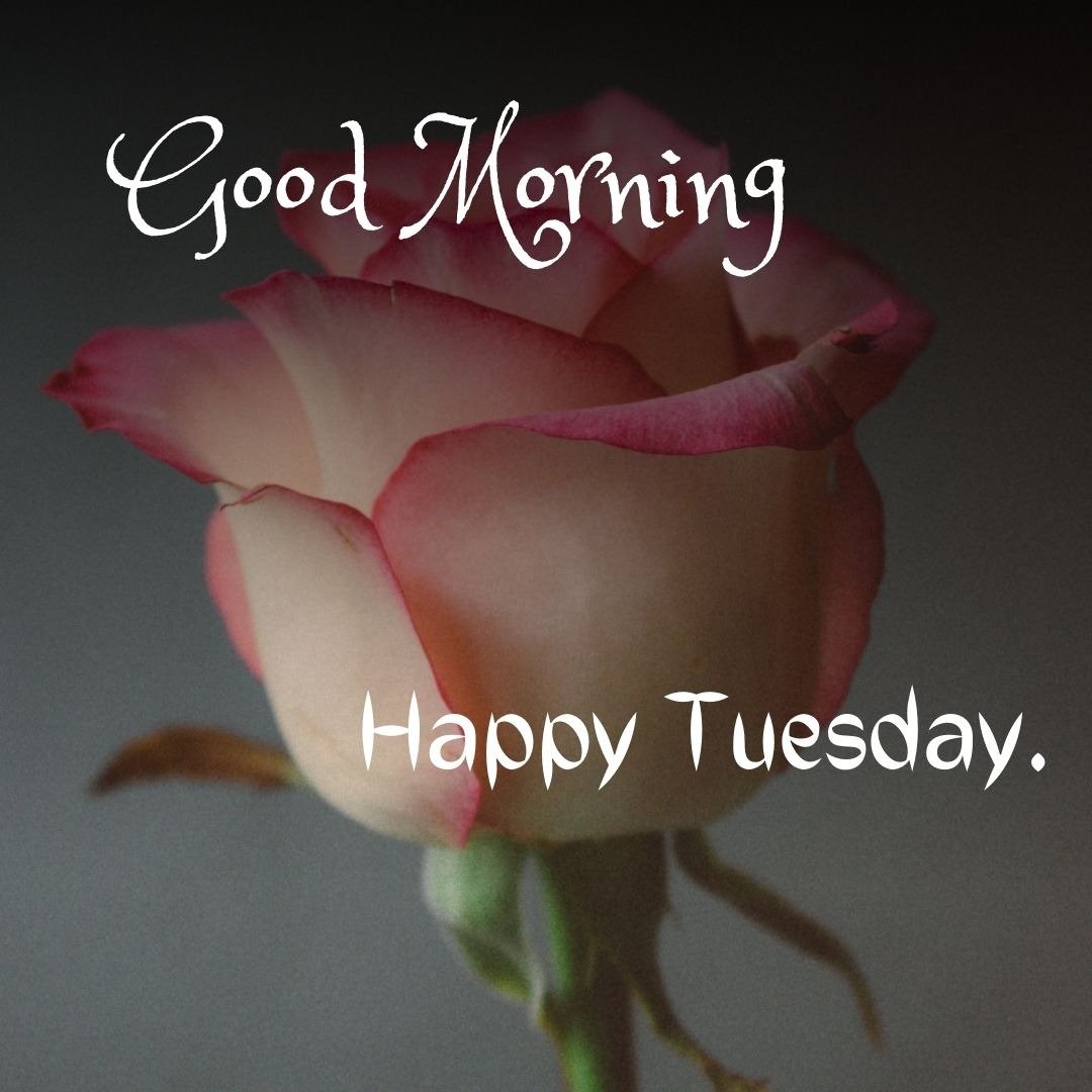 tuesday good morning god images tuesday good morning god images